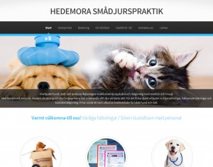 hedemora_smadjurspraktik_full